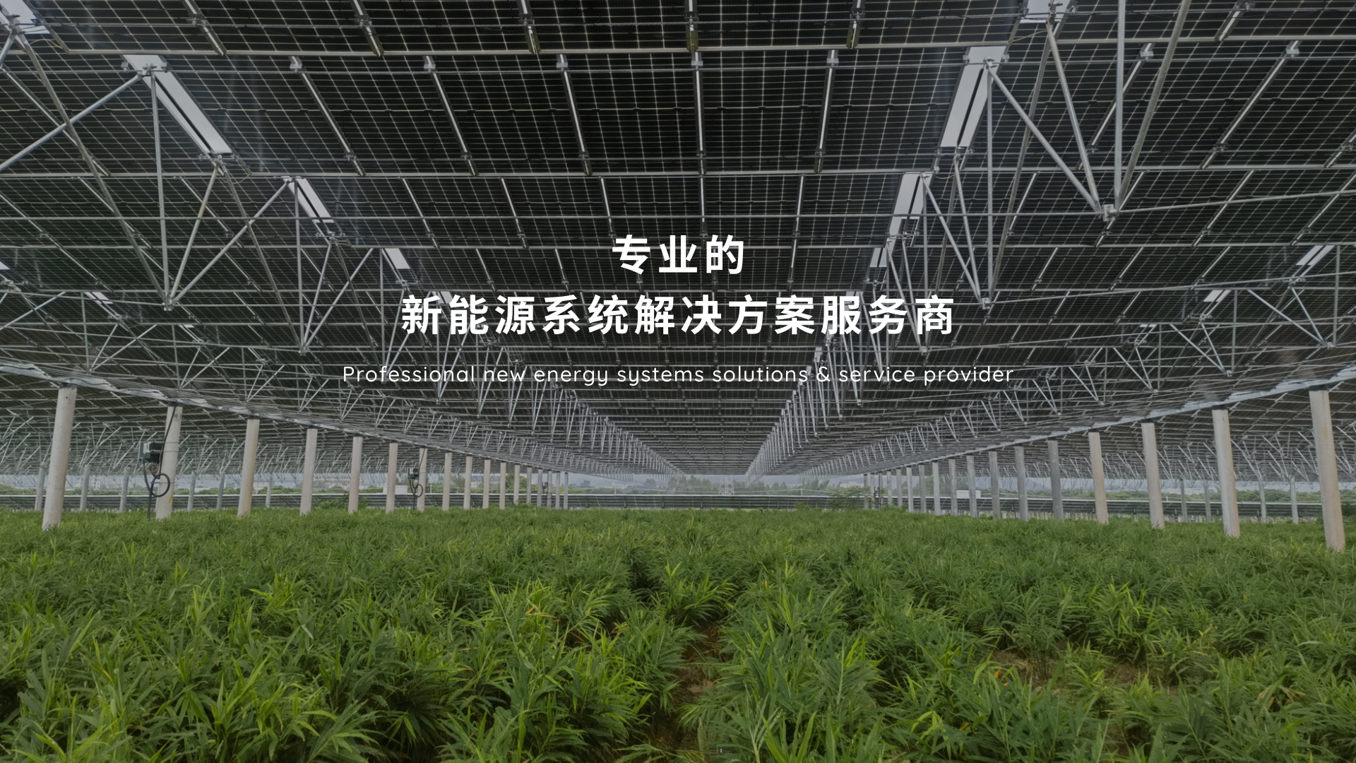 專業(yè)的新能源系統(tǒng)解決方案服務(wù)商