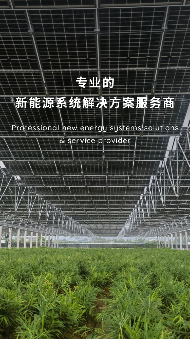 專業(yè)的新能源系統(tǒng)解決方案服務(wù)商